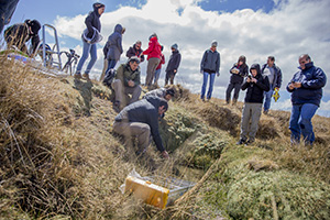 Geology students engaging in research