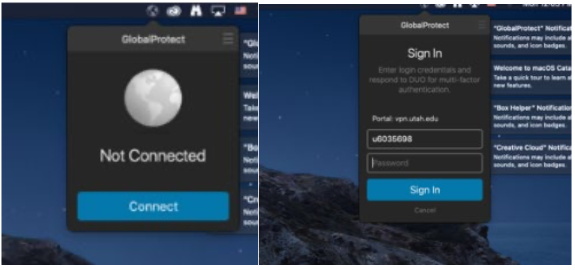 Global project button on top of computer screen